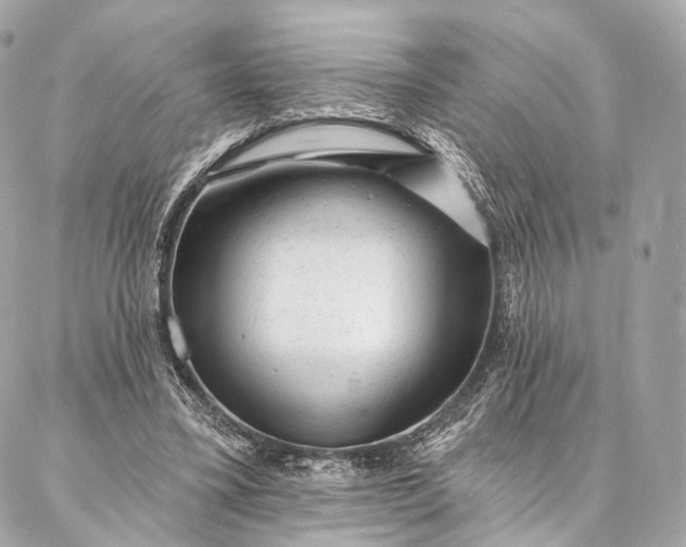 X0000087030395200704301344