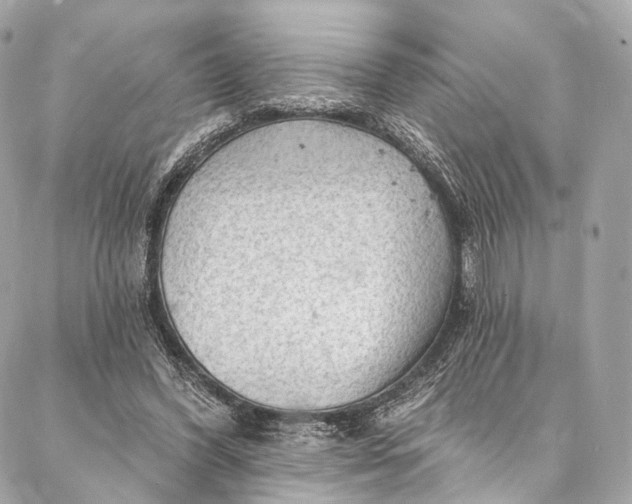 X0000087030396200704301344