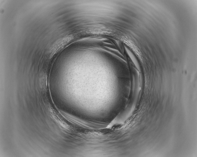 X0000087030397200704301344