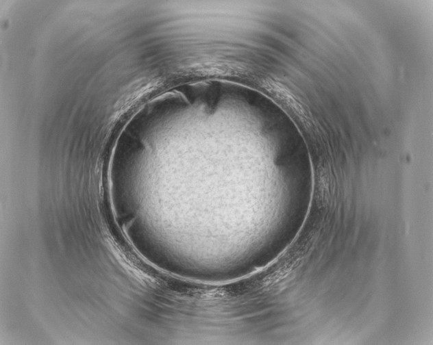 X0000087030398200704301344