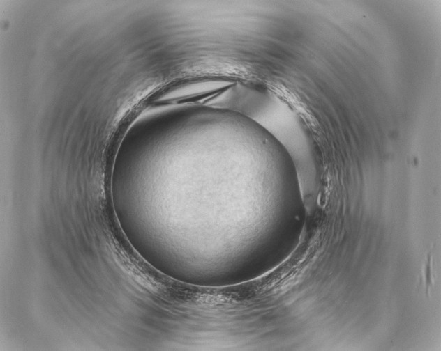 X0000087030399200704301344