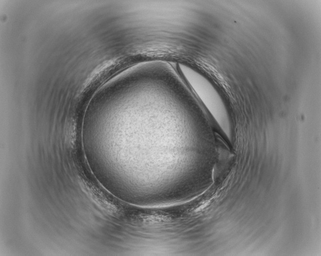 X0000087030400200704301344