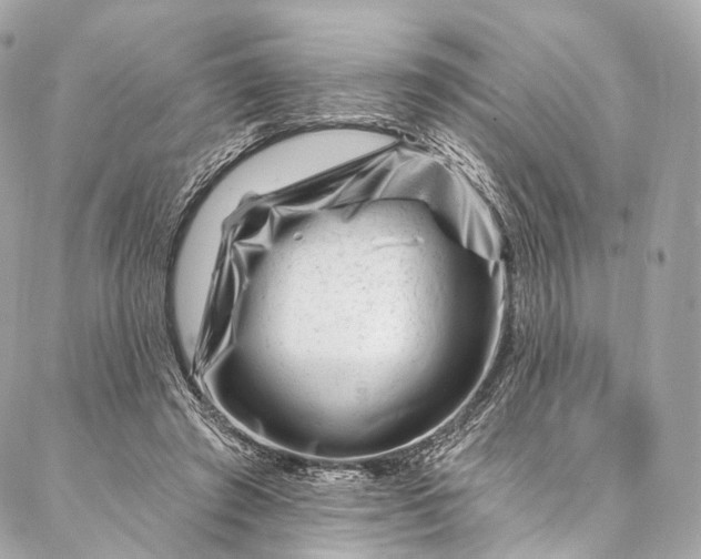 X0000087030401200704301344