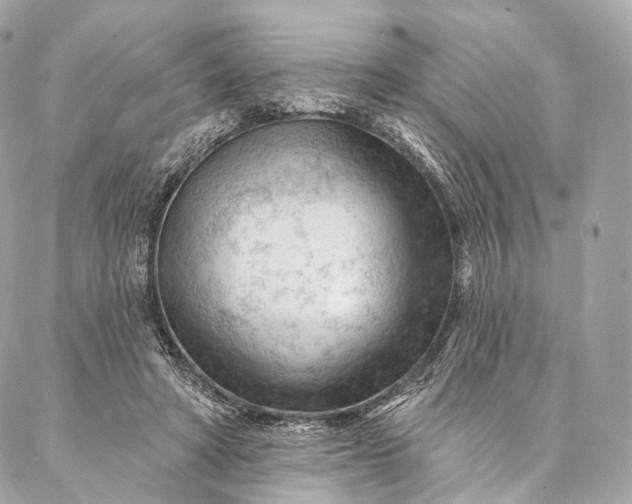 X0000087030402200704301344