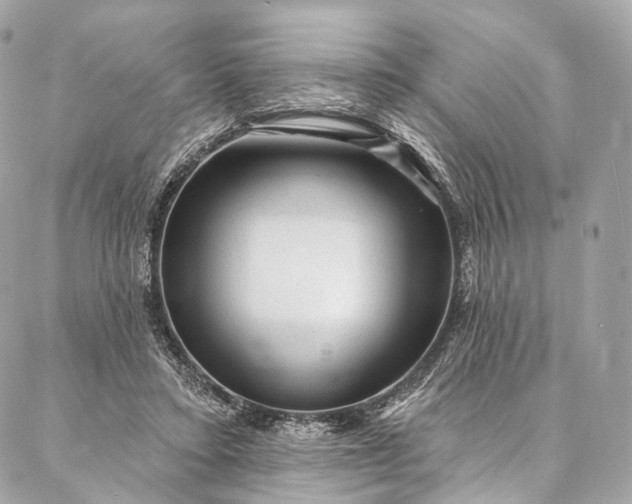 X0000087030403200704301344