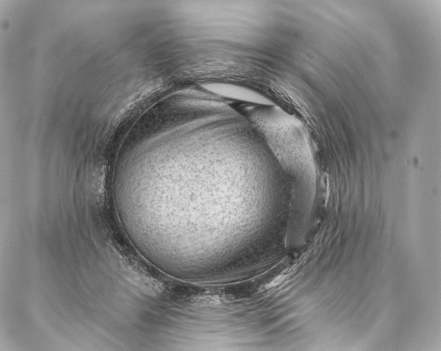 X0000087030404200704301344