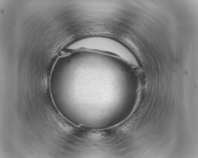 X0000087030405200704301344