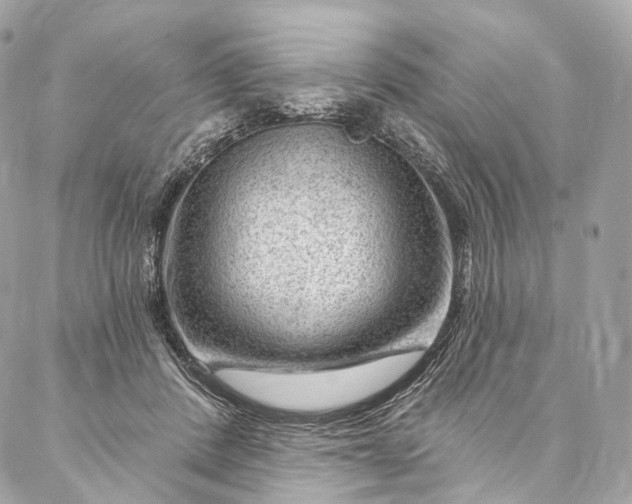 X0000087030408200704301344