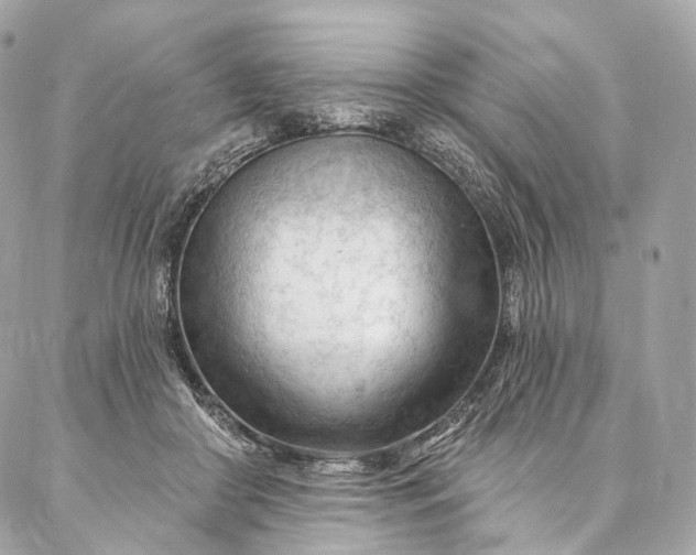 X0000087030410200704301344