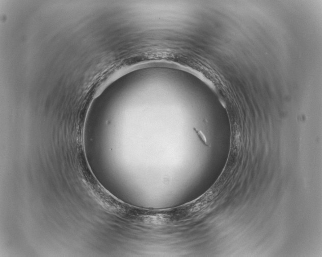 X0000087030411200704301344