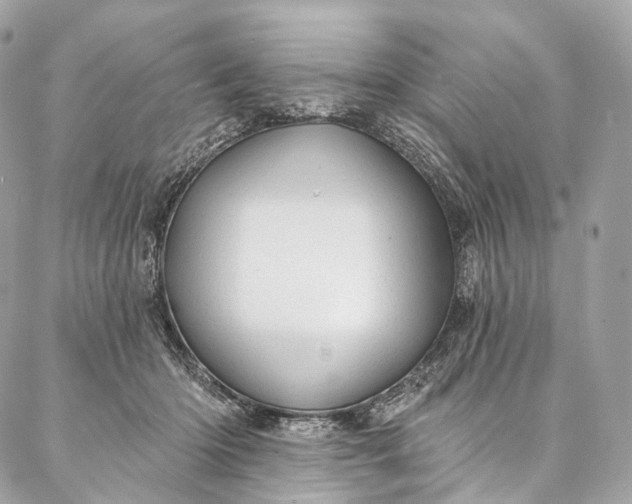 X0000087030414200704301344