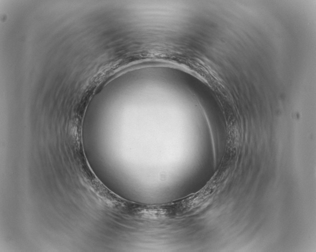 X0000087030415200704301344