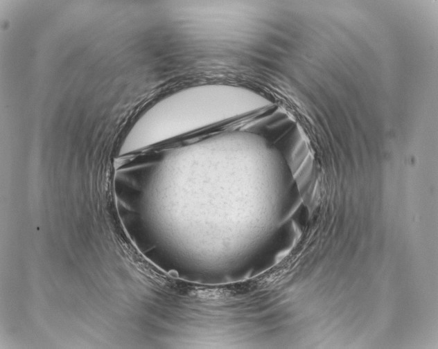 X0000087030417200704301344