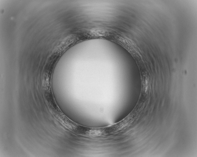 X0000087030418200704301344