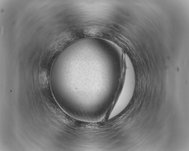 X0000087030420200704301344