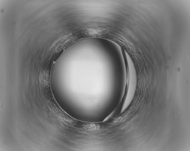 X0000087030421200704301344