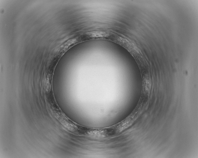 X0000087030422200704301344