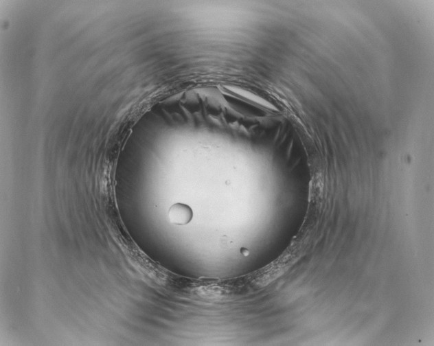 X0000087030423200704301344