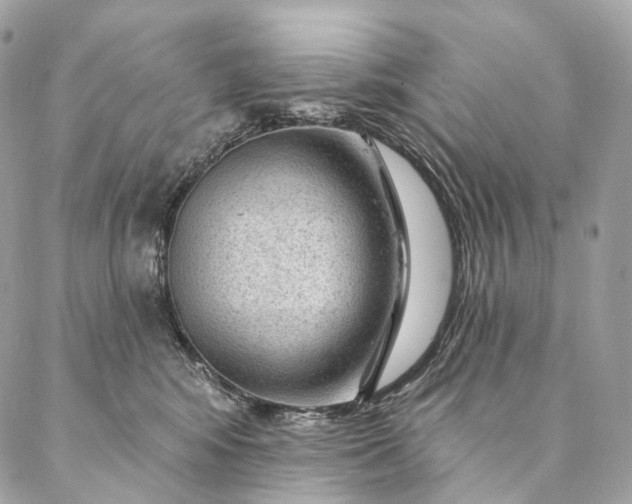 X0000087030424200704301344