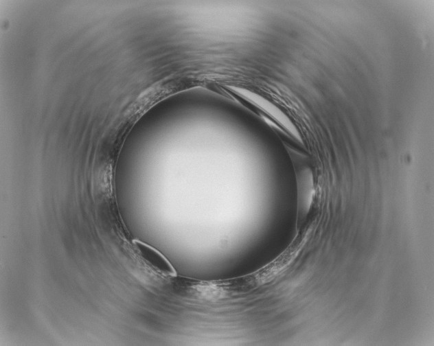 X0000087030425200704301344