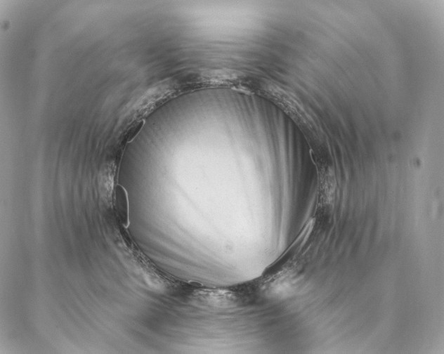 X0000087030427200704301344