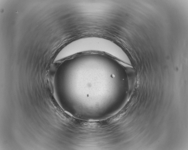 X0000087030428200704301344