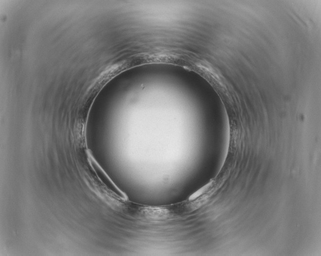 X0000087030429200704301344