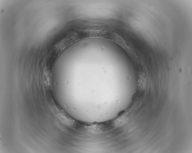 X0000087030430200704301344