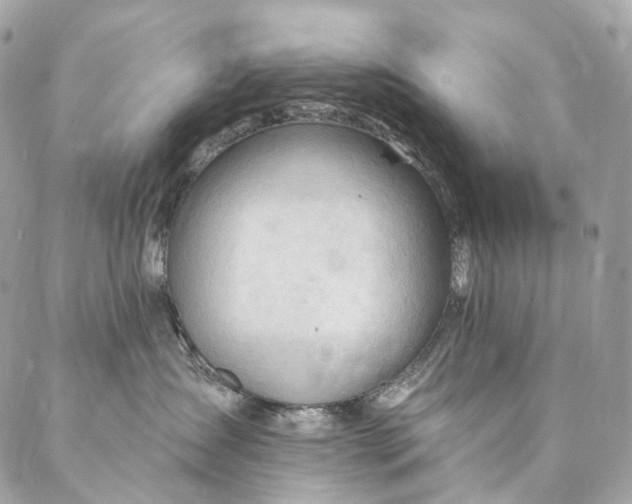 X0000087030431200704301344