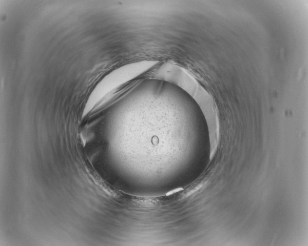 X0000087030432200704301344