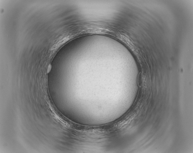 X0000087030433200704301343