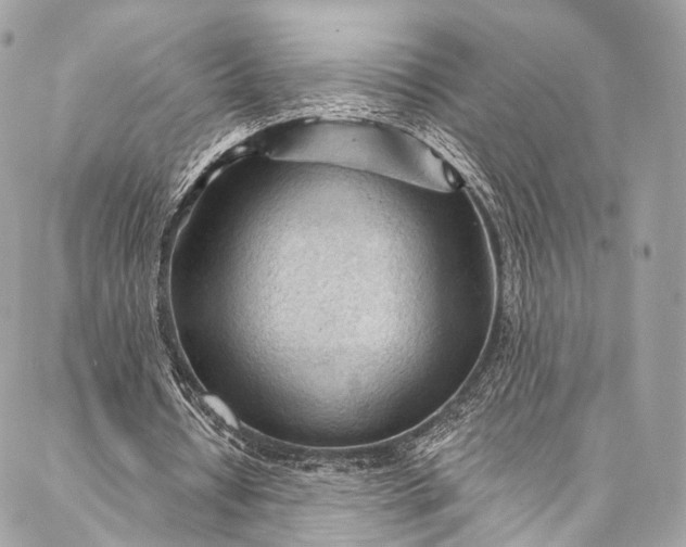 X0000087030434200704301343