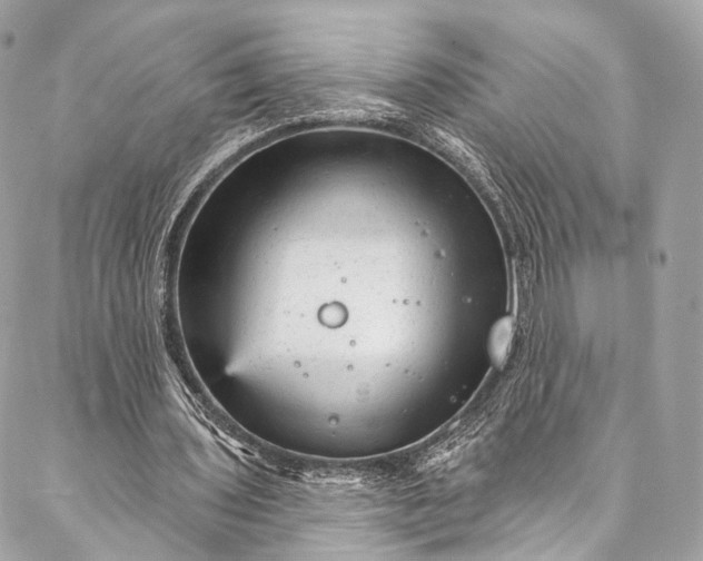 X0000087030435200704301343