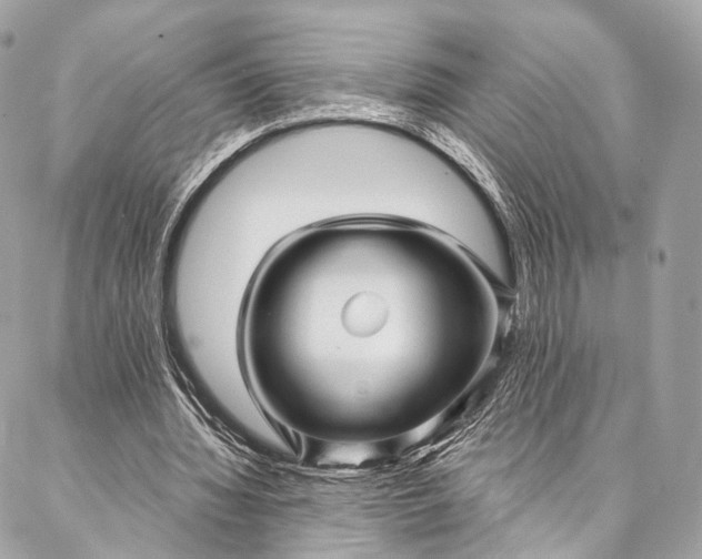 X0000087030436200704301343