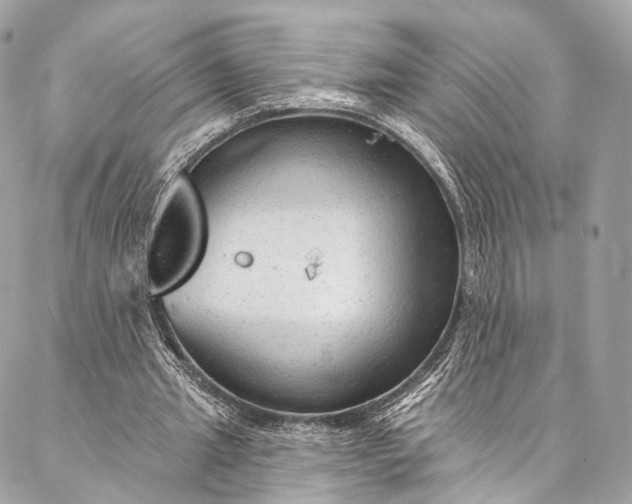 X0000087030437200704301343