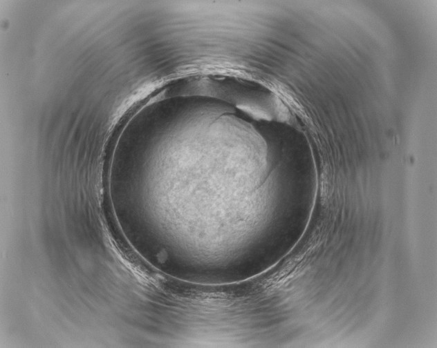 X0000087030438200704301343