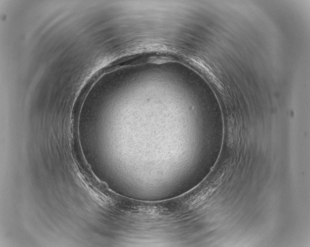 X0000087030439200704301343