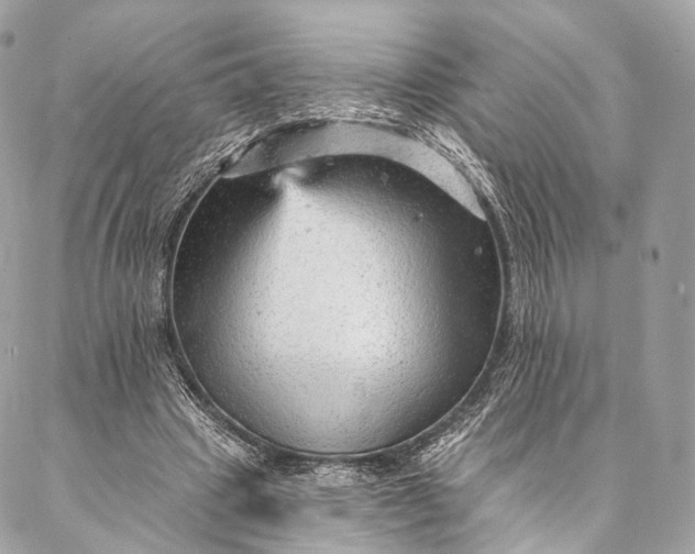 X0000087030441200704301343