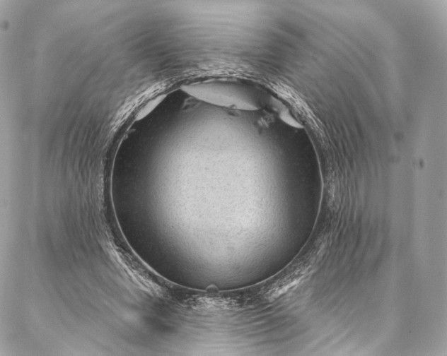 X0000087030442200704301343