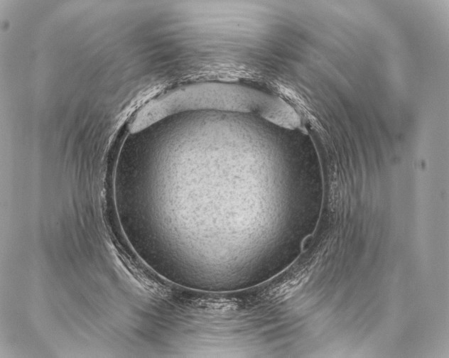 X0000087030443200704301343