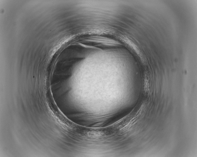 X0000087030444200704301343