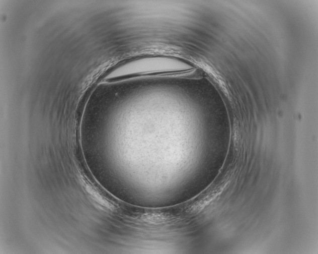 X0000087030445200704301343