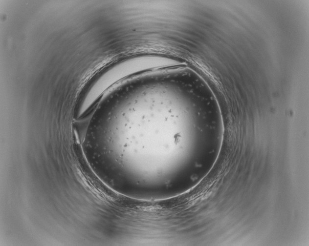 X0000087030446200704301343