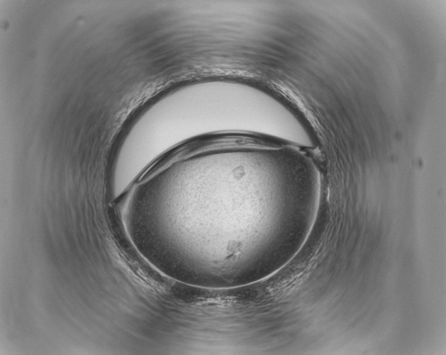 X0000087030447200704301343