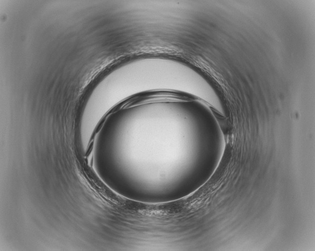 X0000087030448200704301343