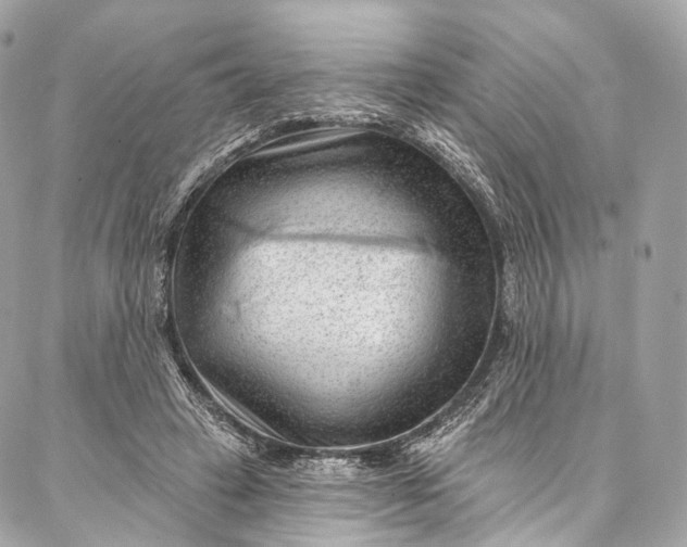 X0000087030449200704301343