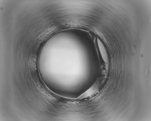 X0000087030450200704301343