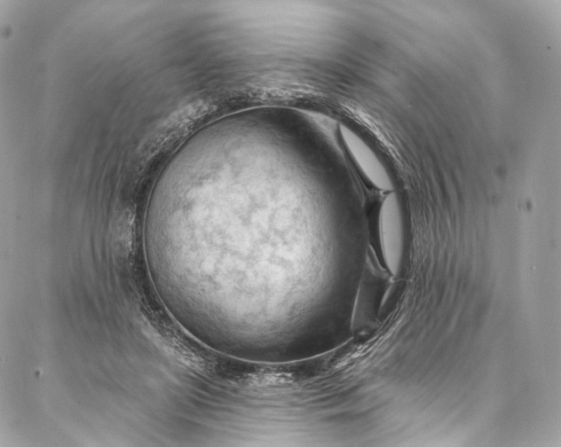 X0000087030451200704301343