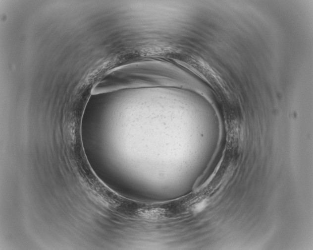 X0000087030452200704301343