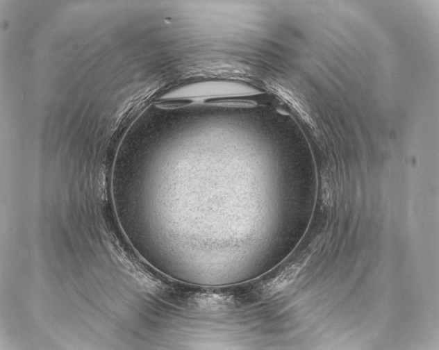 X0000087030453200704301343